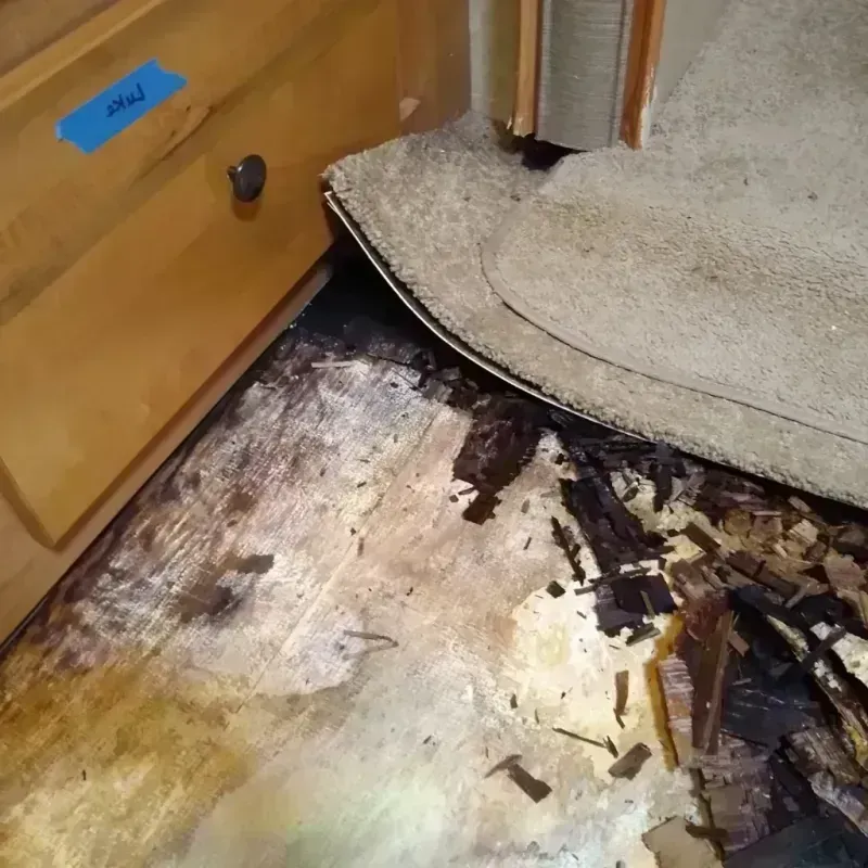 Best Wood Floor Water Damage Service in Navajo County, AZ